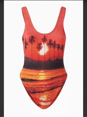 IT'S NOW COOL The Sunshine State Showtime One-piece Swimsuit